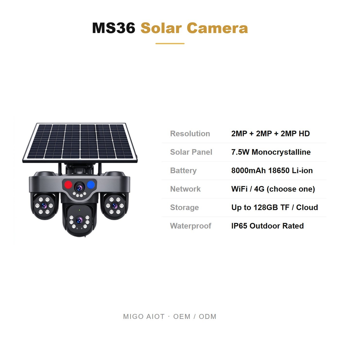 MS36 specifications and OEM terms