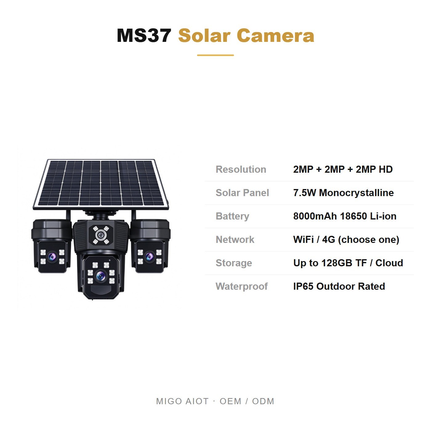 MS37 specifications and OEM terms